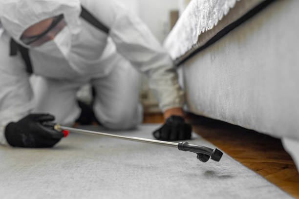 Professional Bed Bug Control technician working in Haysville, KS