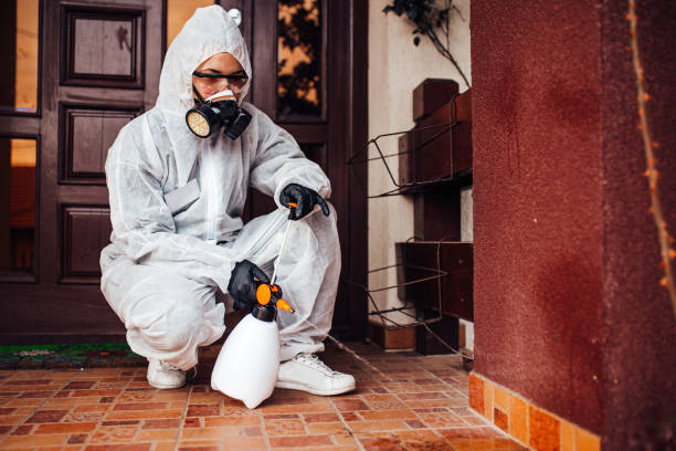 Reliable Bed Bug Control contractor in Haysville, KS by Nex Pest Control