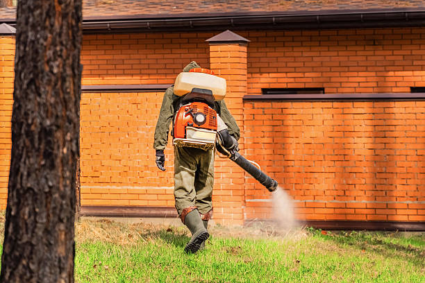 Trusted Emergency Pest Control service in Haysville, KS - Nex Pest Control